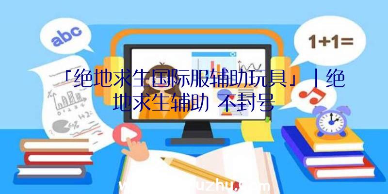 「绝地求生国际服辅助玩具」|绝地求生辅助